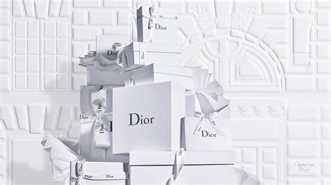 dior con la mosca|dior official website.